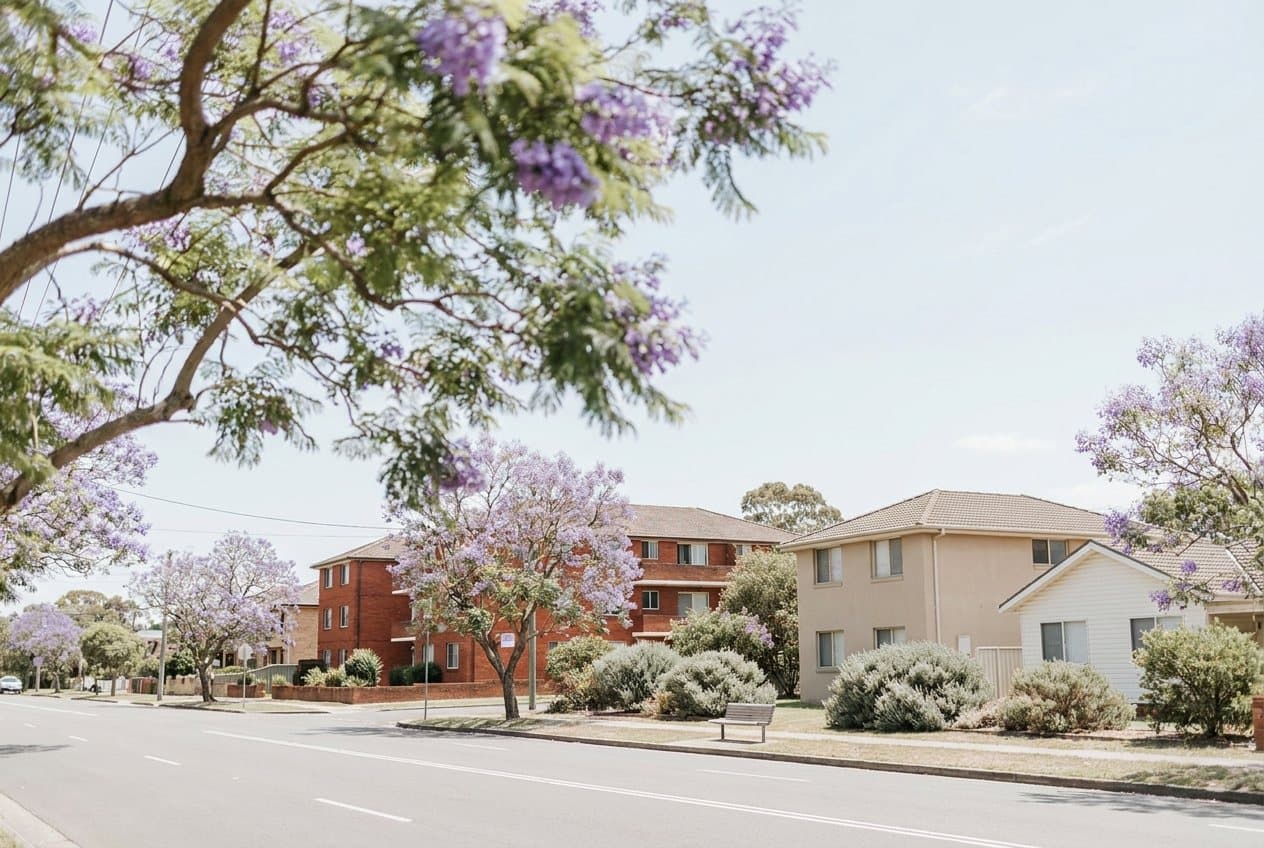 A wide suburban street with low-rise brick apartment blocks, freestanding homes and jacaranda trees